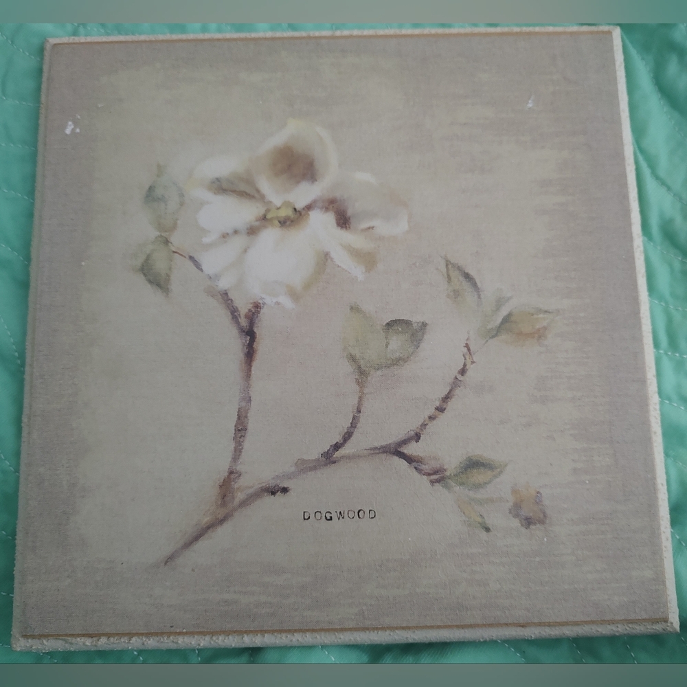 Dogwood Flower Art